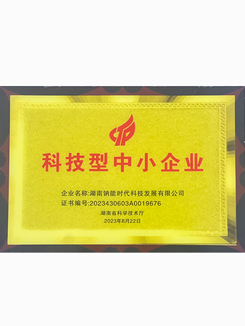 科技型中小企业