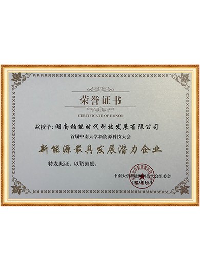 新能源最具发展潜力企业