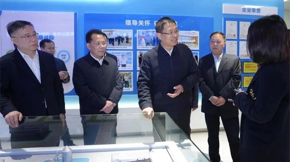 湖南省委常委、岳阳市委书记谢卫江莅临公司考察
